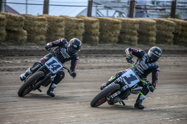 indian springfield flat track race