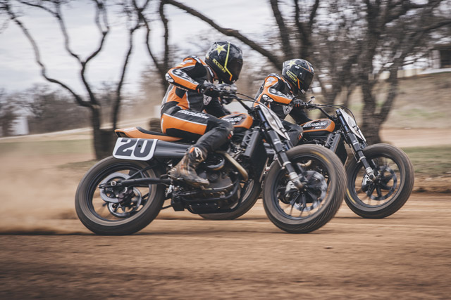 harley flat track 2020